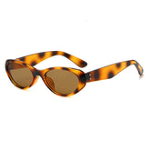 (6 PACK) Wholesale Sunglasses Vintage Cat Eye Korean Square Round Street Fashion 2025 - BulkSunglassesWholesale.com - Leopard Print Frame Tea Lens